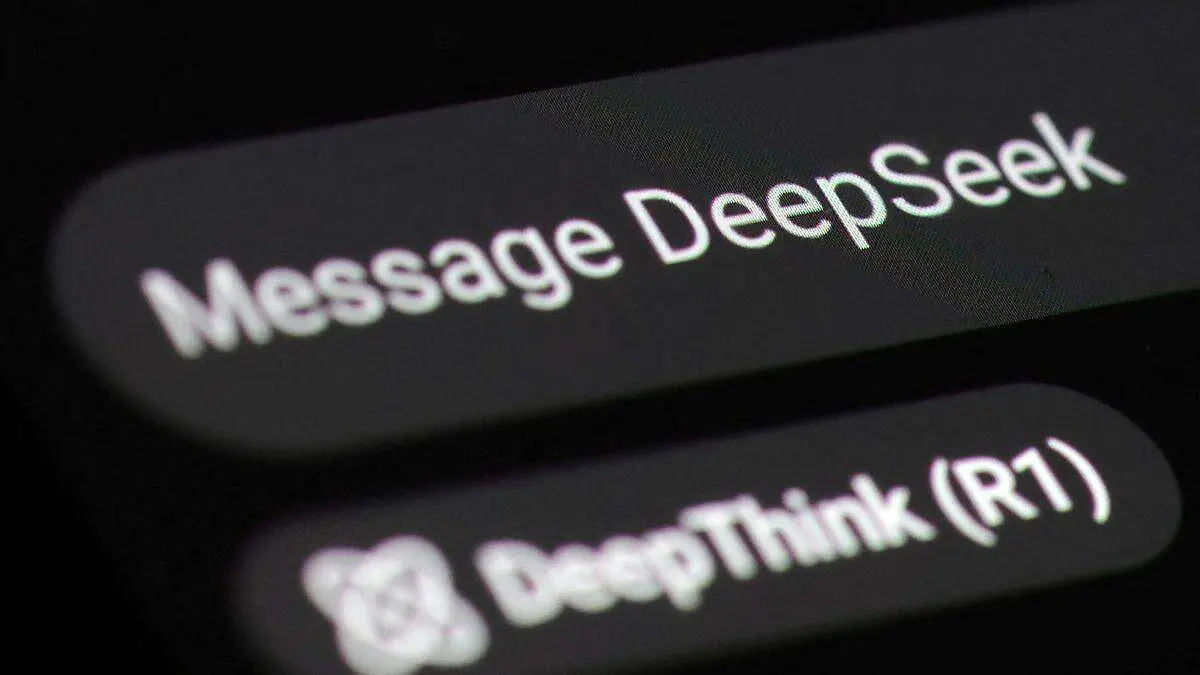 DeepSeek (1)